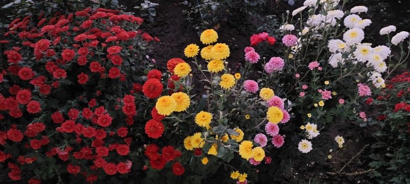 IMG-20230513-WA0129 - 2022