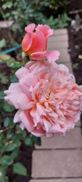 IMG-20230513-WA0123 - 2022