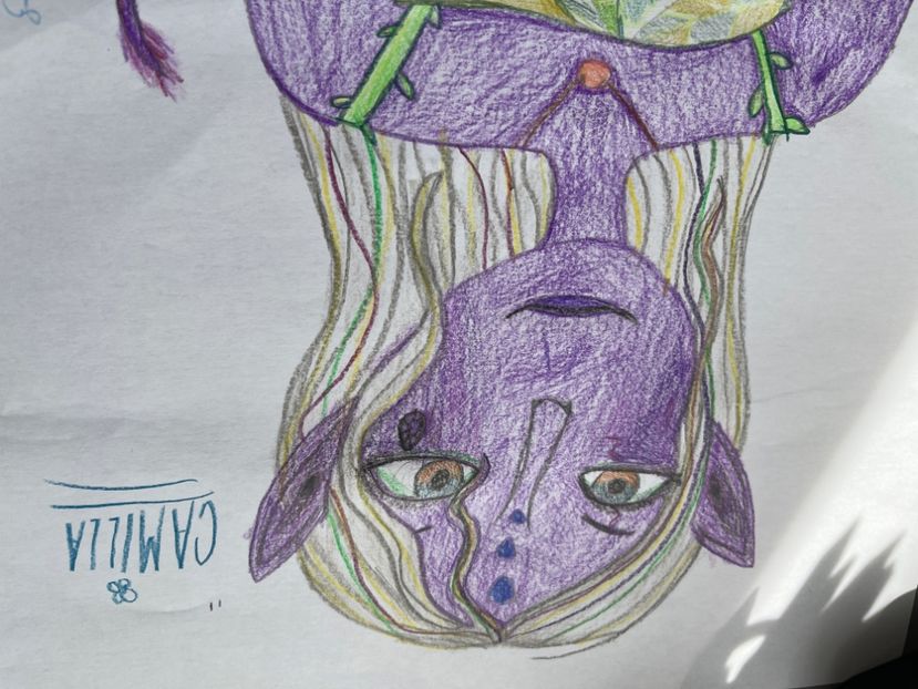 image - Desenele mele