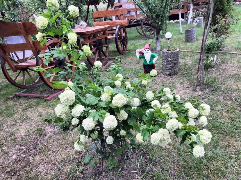 IMG20230514175326 - Primăvara 2023