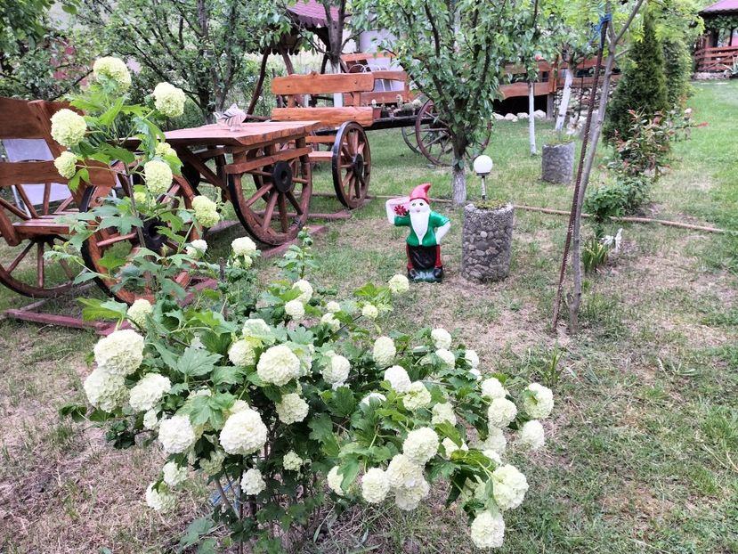 IMG20230514175321 - Primăvara 2023