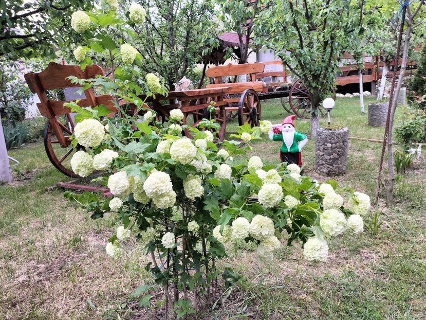 IMG20230514175311 - Primăvara 2023