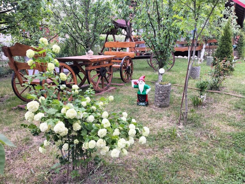 IMG20230514175305 - Primăvara 2023