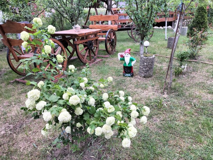 IMG20230514175247 - Primăvara 2023