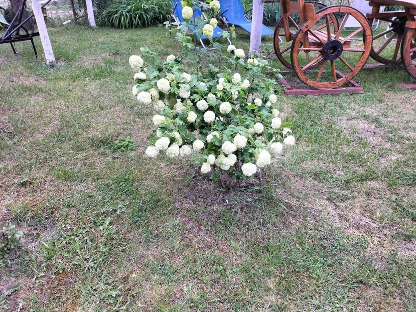 IMG20230514175149 - Primăvara 2023