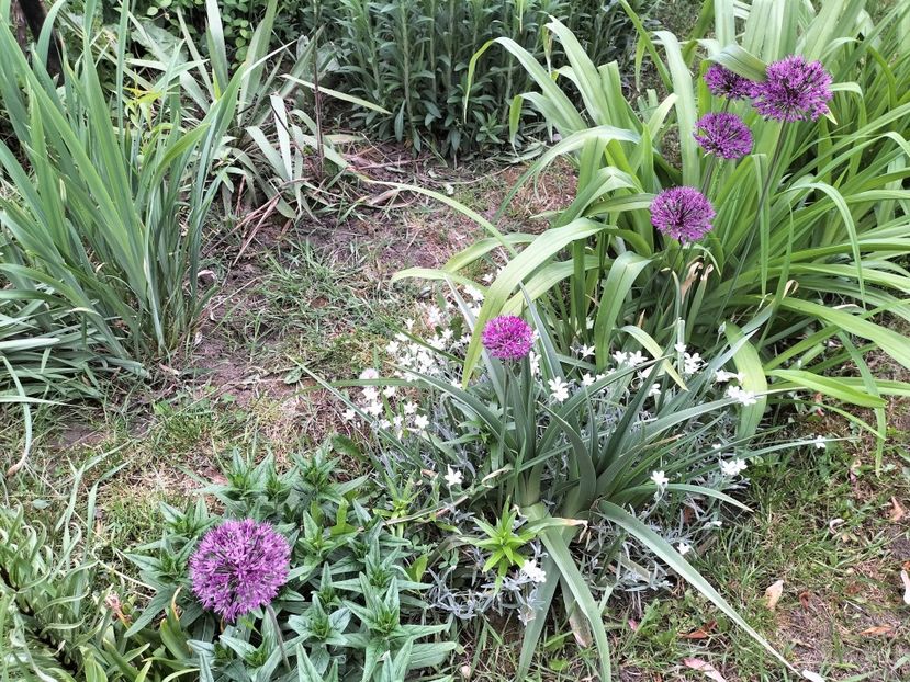 IMG20230514182546 - Primăvara 2023