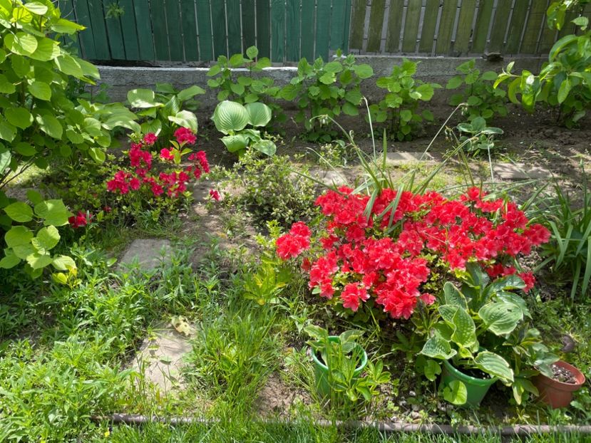 C18EF7B0-4C02-44C5-9AC0-7E17B7D7D0CD - 01 Primăvara 2023