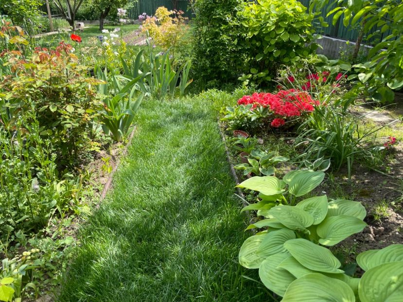 1796E5AD-6026-4975-AA2B-0401C969A392 - 01 Primăvara 2023