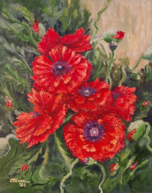 Maci de gradina - PICTURI