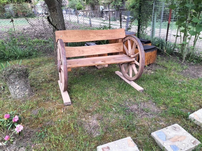 IMG20230516074018 - Primăvara 2023