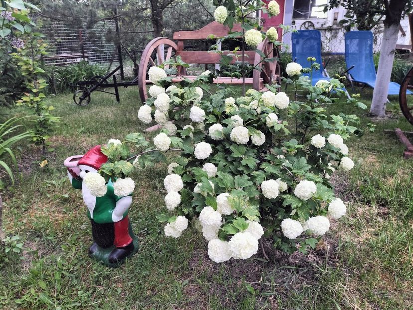 IMG20230516073939 - Primăvara 2023