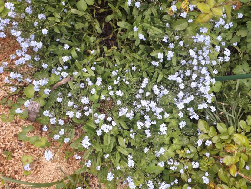 20230513_184553[1] - nu ma uita