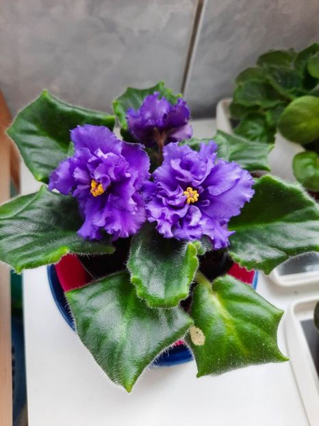 Mai 2023 - LE BUNTAR - sport