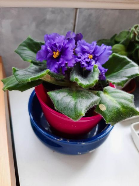 Mai 2023 - LE BUNTAR - sport