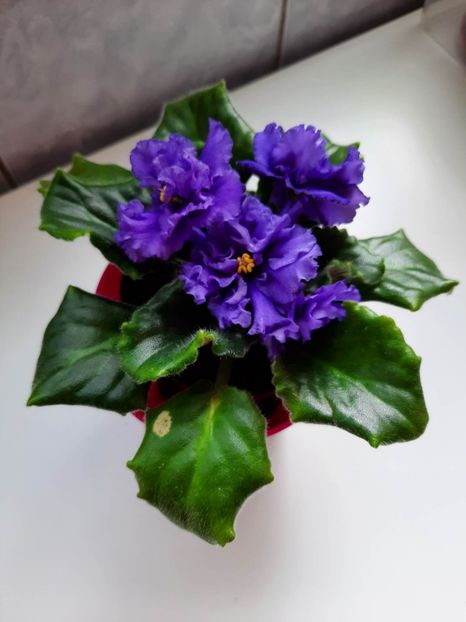 Mai 2023 - LE BUNTAR - sport