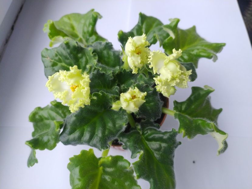 17 mai 2023 - RS Izumrudnyj Gorod