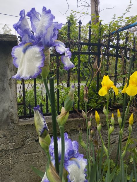 M - Album 2023 vol 1