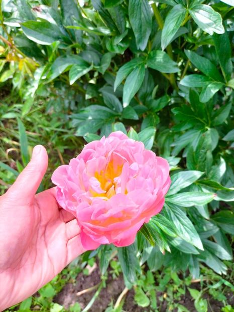 IMG20230518151919 - Mai 2023 vol 1