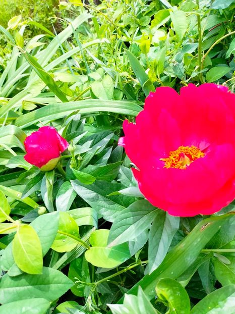 IMG20230518151724 - Mai 2023 vol 1