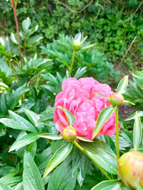 IMG20230518151929 - Album 2023 vol 1