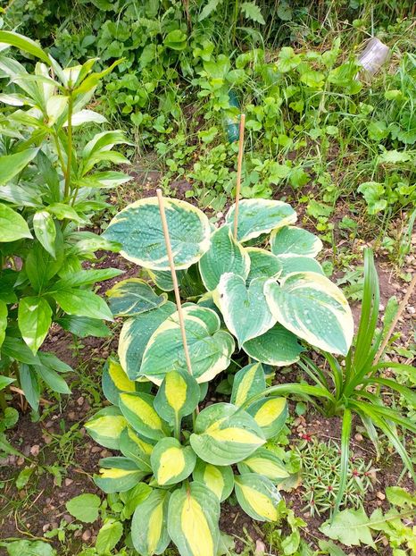 IMG20230518151907 - Album 2023 vol 1