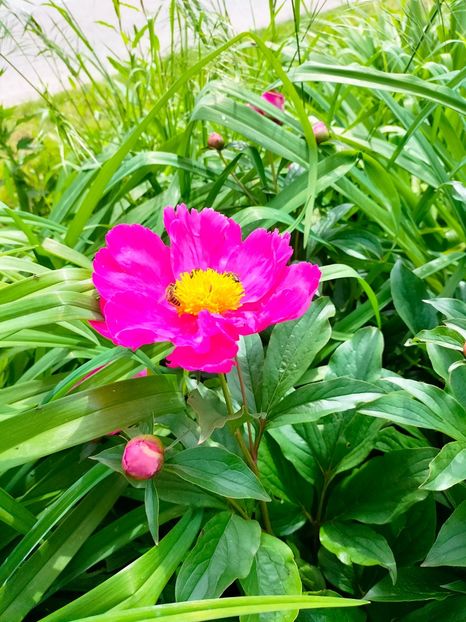 IMG20230518151659 - Album 2023 vol 1