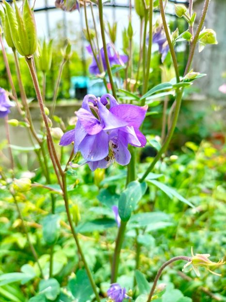 IMG20230518151615 - Album 2023 vol 1