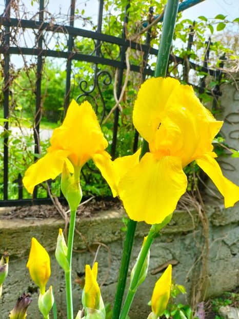 IMG20230518151600 - Album 2023 vol 1