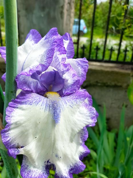 IMG20230518151557 - Album 2023 vol 1