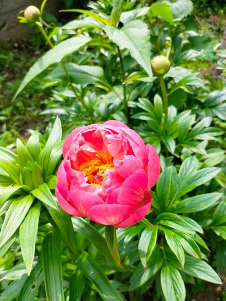 IMG20230518151532 - Album 2023 vol 1