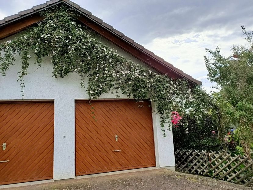 Img.2023.05.18 - Zu-Cele mai frumoase grădini