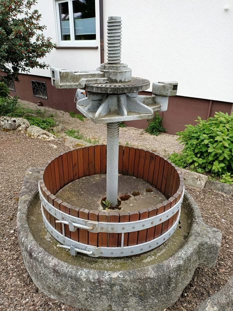 Img.2023.05.18 - Zu-Cele mai frumoase grădini