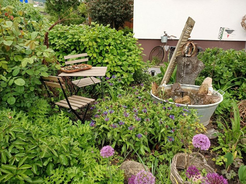 Img.2023.05.18 - Zu-Cele mai frumoase grădini