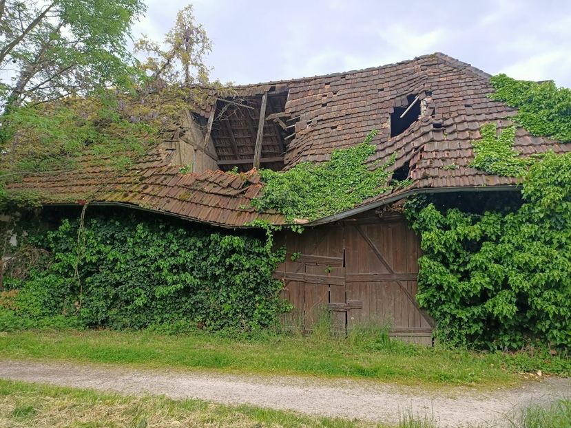 Img.2023.05.18 - Zu-Cele mai frumoase grădini