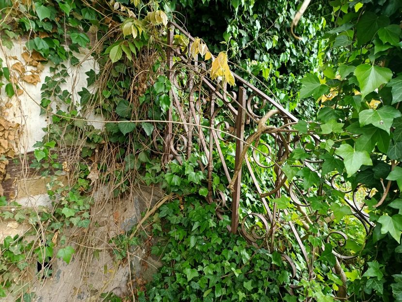 Img.2023.05.18 - Zu-Cele mai frumoase grădini