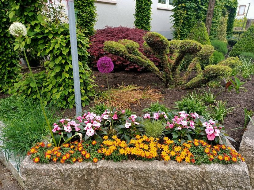 Img.2023.05.18 - Zu-Cele mai frumoase grădini