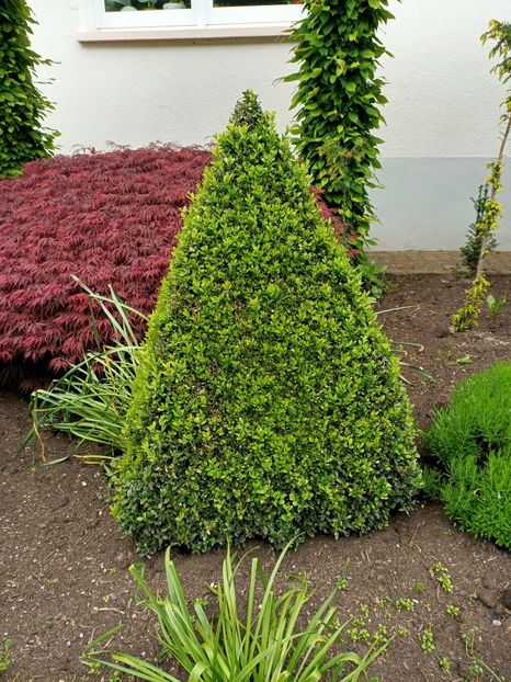 Img.2023.05.18 - Zu-Cele mai frumoase grădini