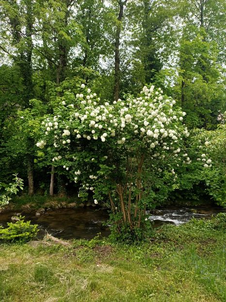 Img.2023.05.18 - Zu-Cele mai frumoase grădini