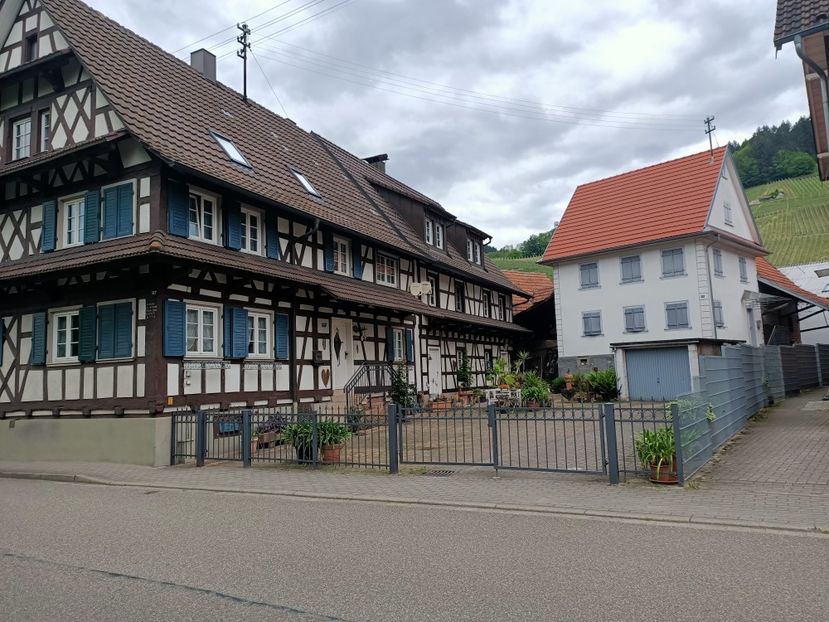 Img.2023.05.18 - Zu-Cele mai frumoase grădini