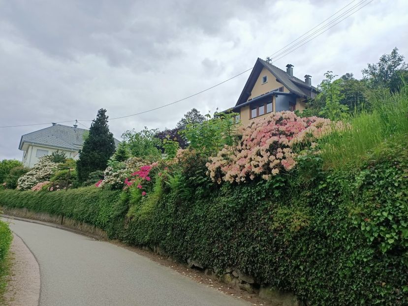 Img.2023.05.18 - Zu-Cele mai frumoase grădini