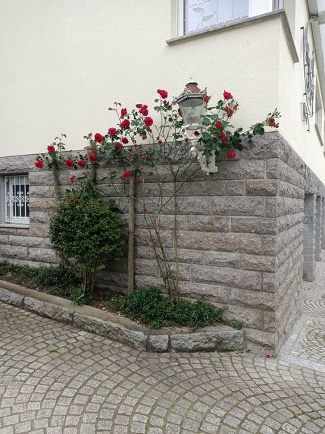 Img.2023.05.18 - Zu-Cele mai frumoase grădini