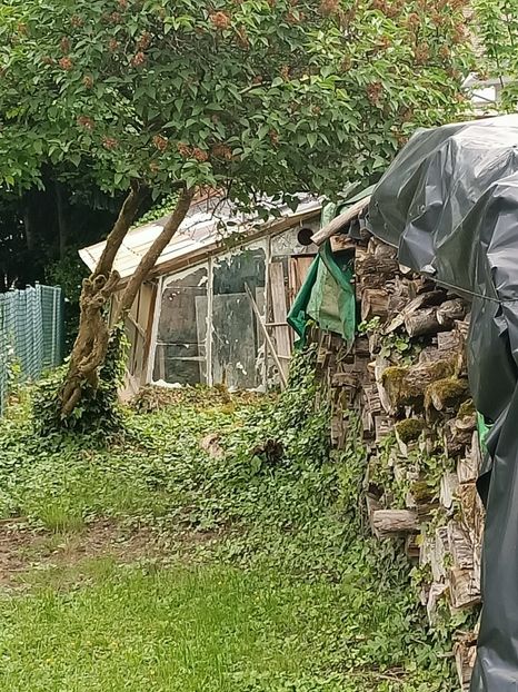 Img.2023.05.18 - Zu-Cele mai frumoase grădini
