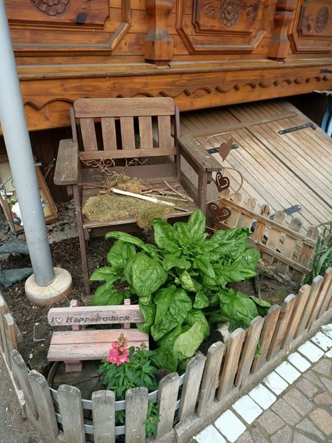 Img.2023.05.18 - Zu-Cele mai frumoase grădini