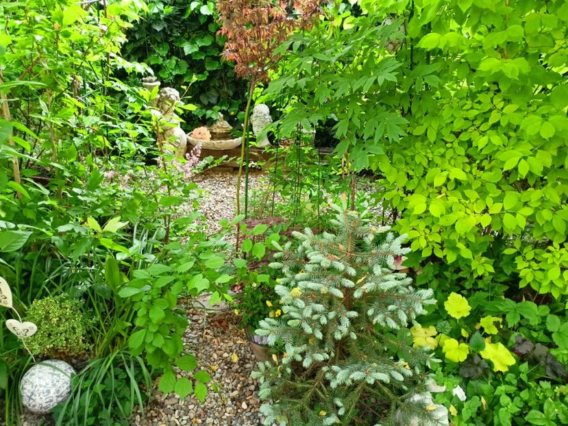  - Grădina 2023 continuare 2