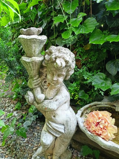  - Grădina 2023 continuare 2