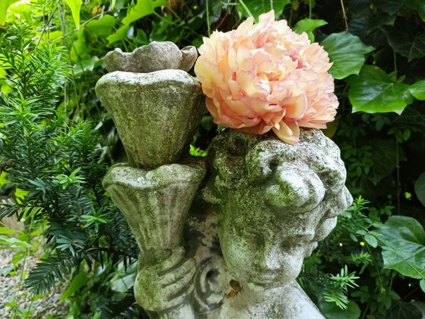  - Grădina 2023 continuare 2