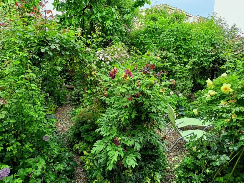  - Grădina 2023 continuare 2