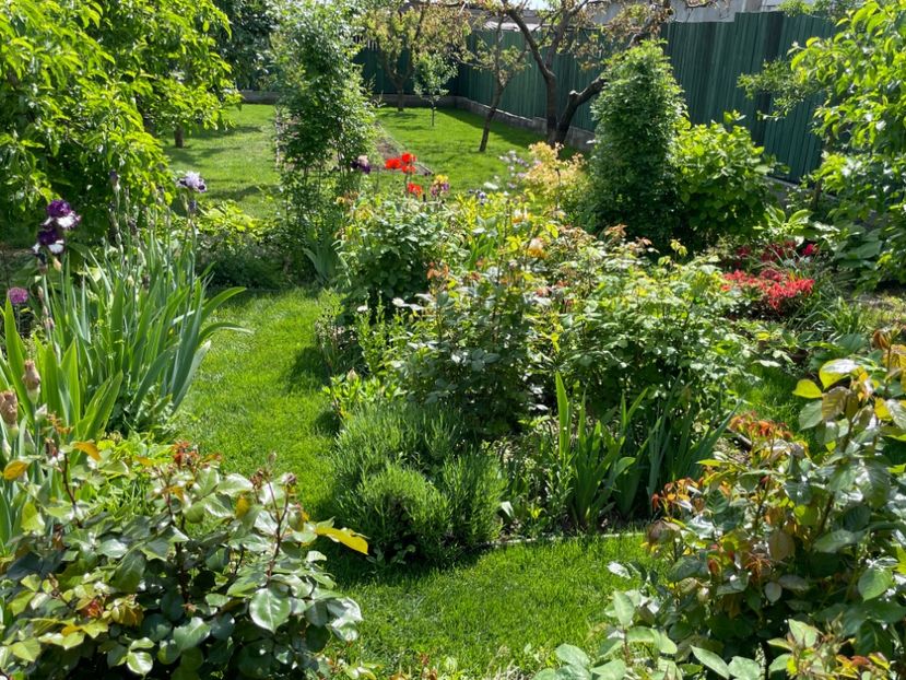 15598F20-1138-4EE0-B0F9-9E3C2C5DB5ED - 01 Primăvara 2023