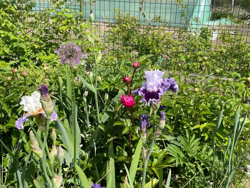 CD227FA8-E0FF-43CA-A0B0-70C608F5A55E - 01 Primăvara 2023