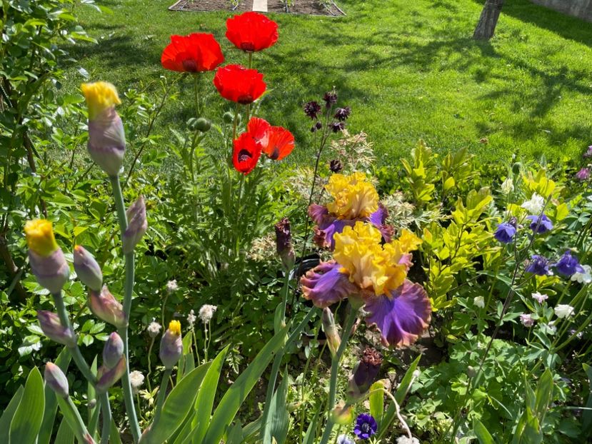 381B3EDA-D898-432E-B056-AA80B3E5775F - 01 Primăvara 2023